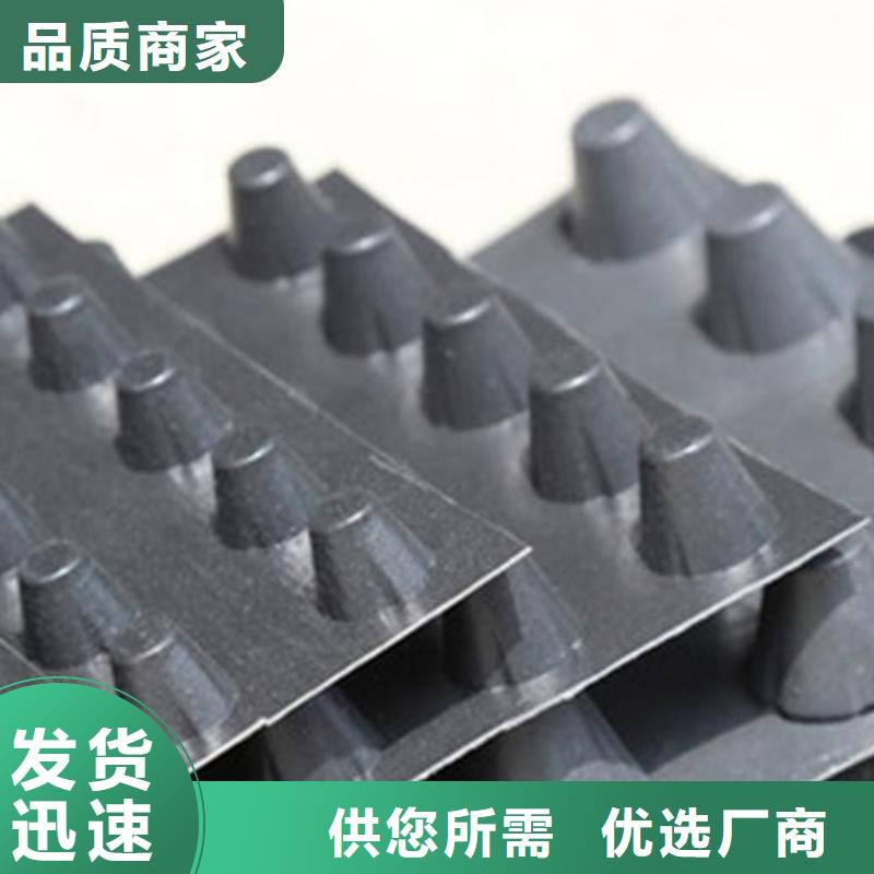 排水板工厂#全国招代理