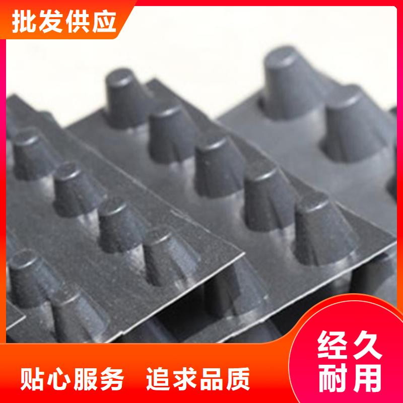 排水板防护虹吸排水收集系统种类多质量好