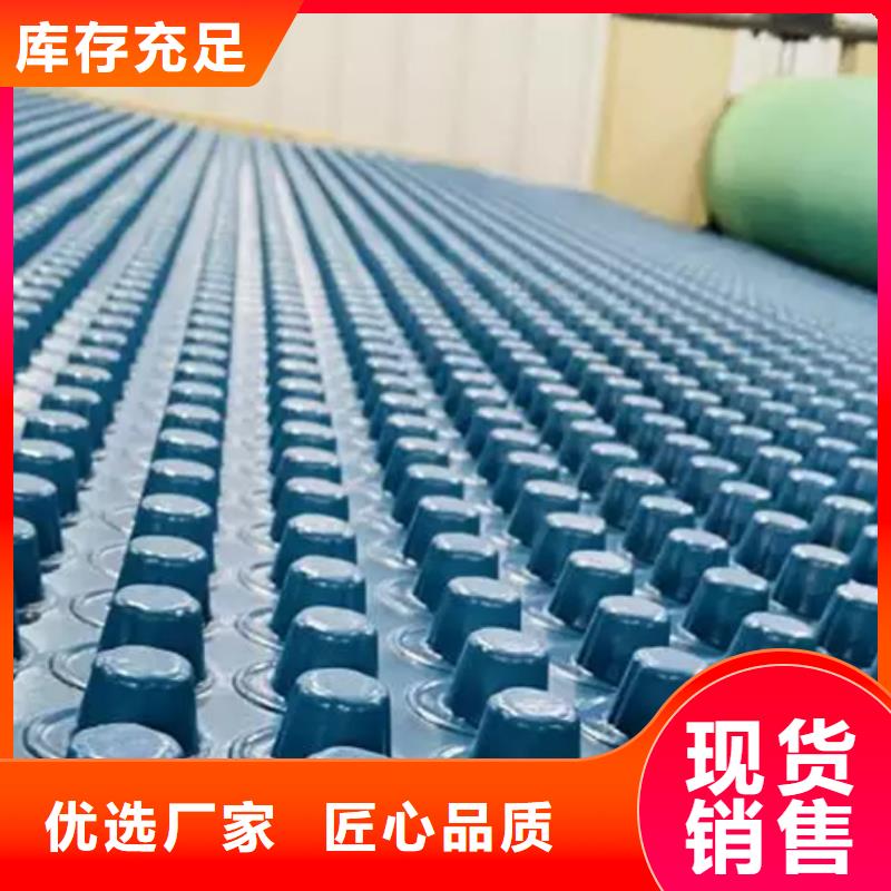 排水板,植草格诚信经营现货现发