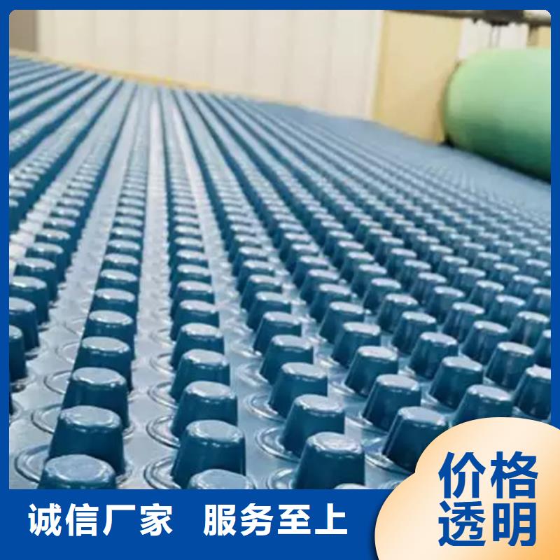 蓄排水板厂家