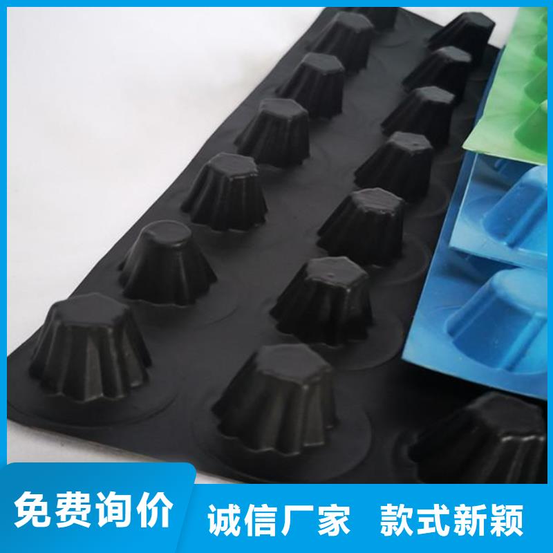塑料排水板价格@批发价2025