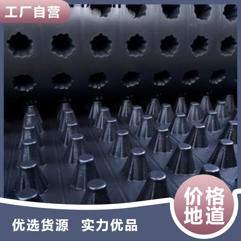 排水板价格