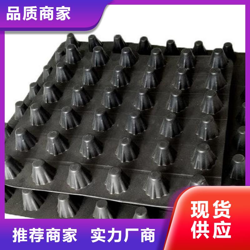 排水板#行情价2025