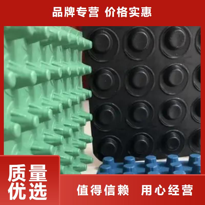 排水板植草格现货满足大量采购