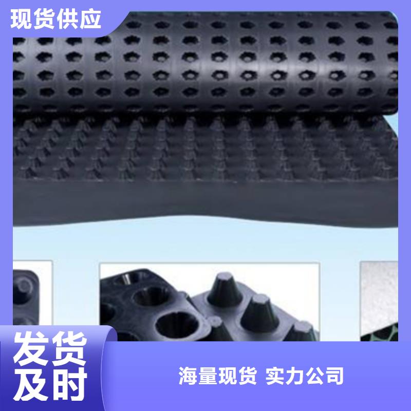 蓄排水板生产工厂-现价