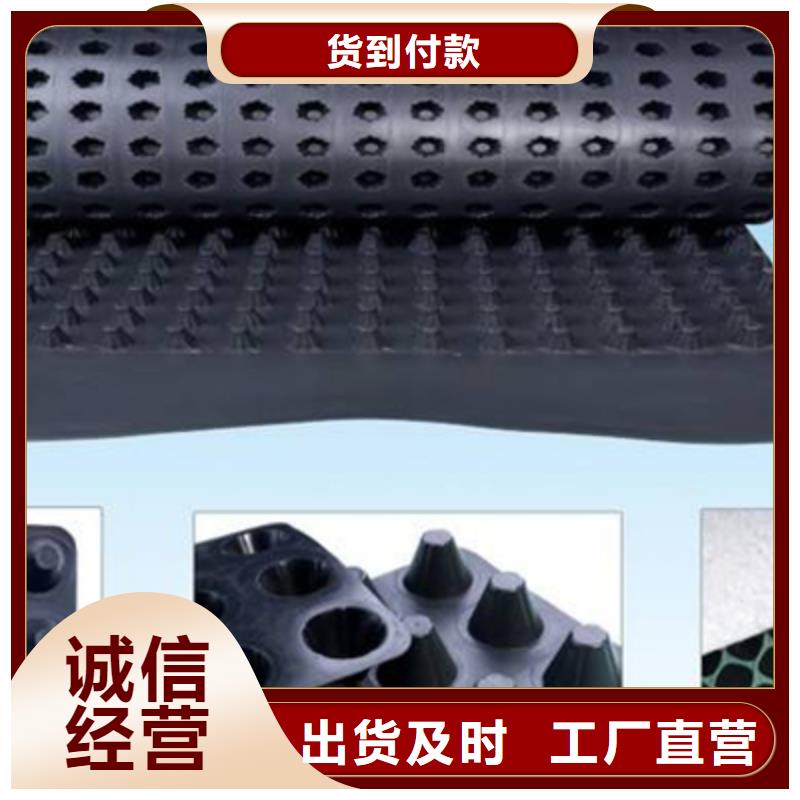塑料排水板/本地公司
