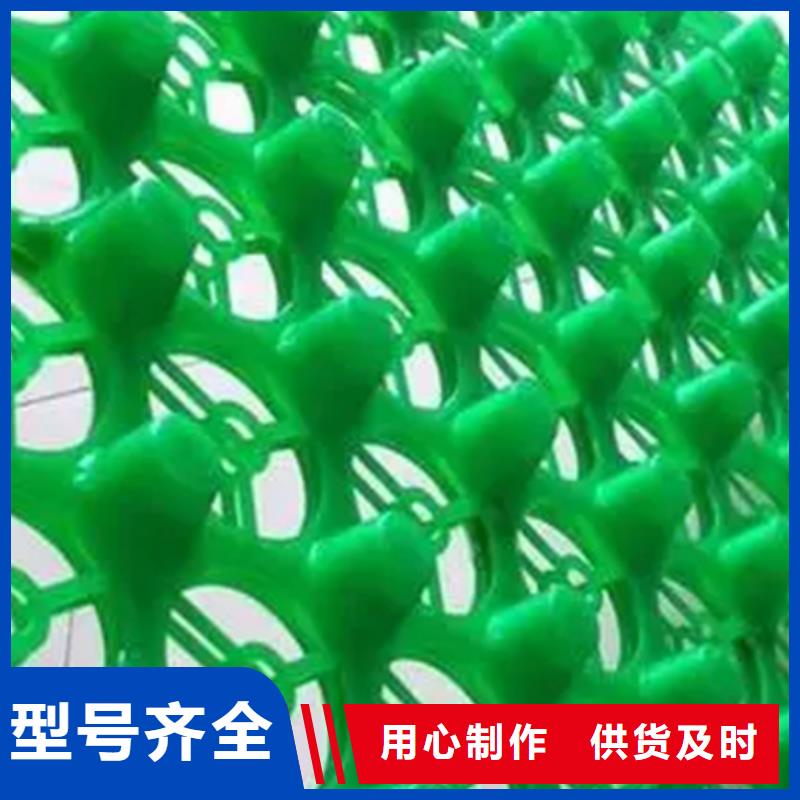 排水板厂家