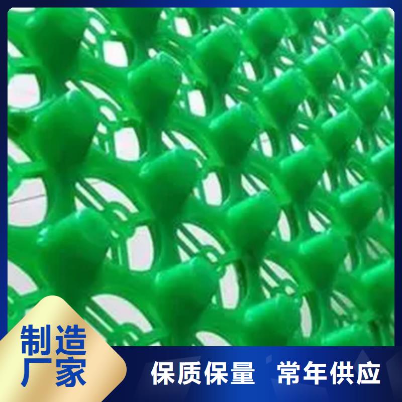 排水板水泥化粪池省心又省钱