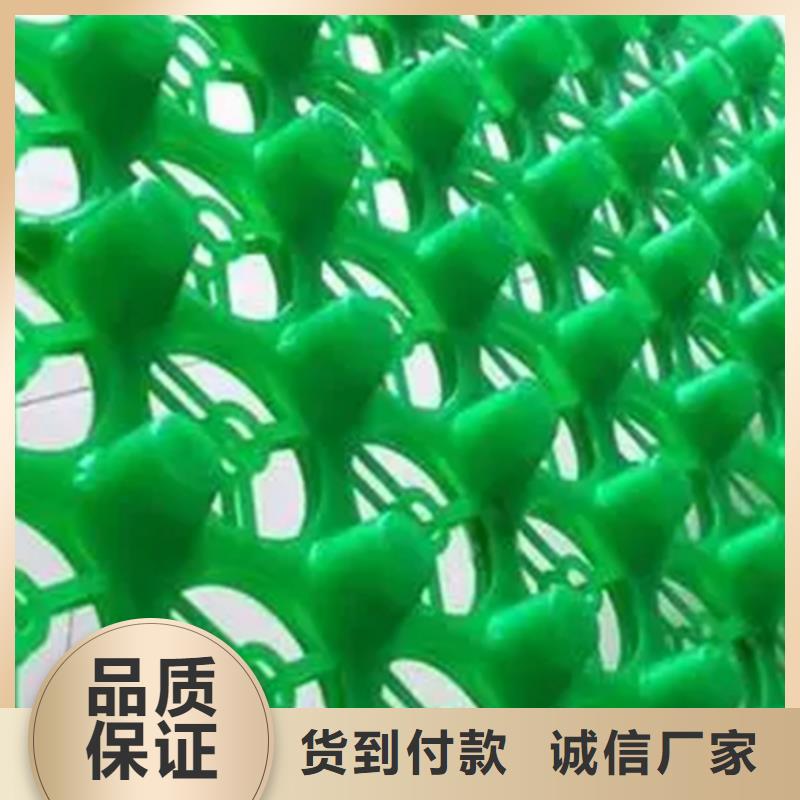 虹吸排水板批发价