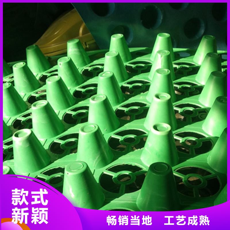 蓄排水板厂家-批发价