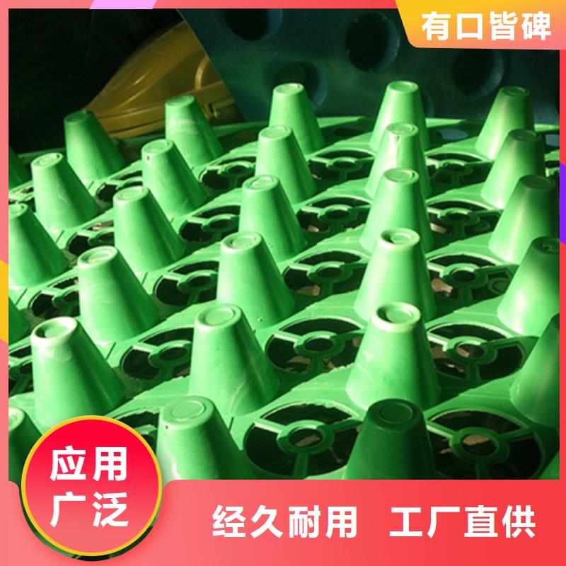 车库排水板价格-生产厂家