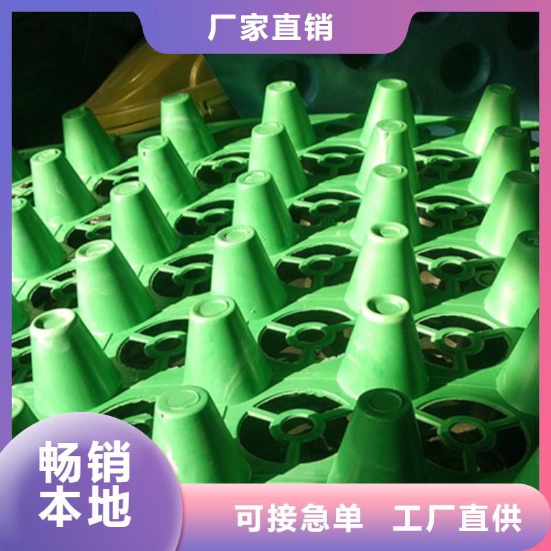 排水板生产厂家*价格