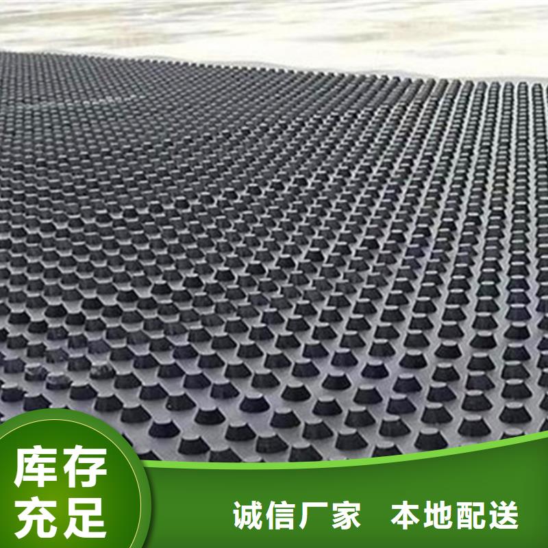 塑料排水板厂家