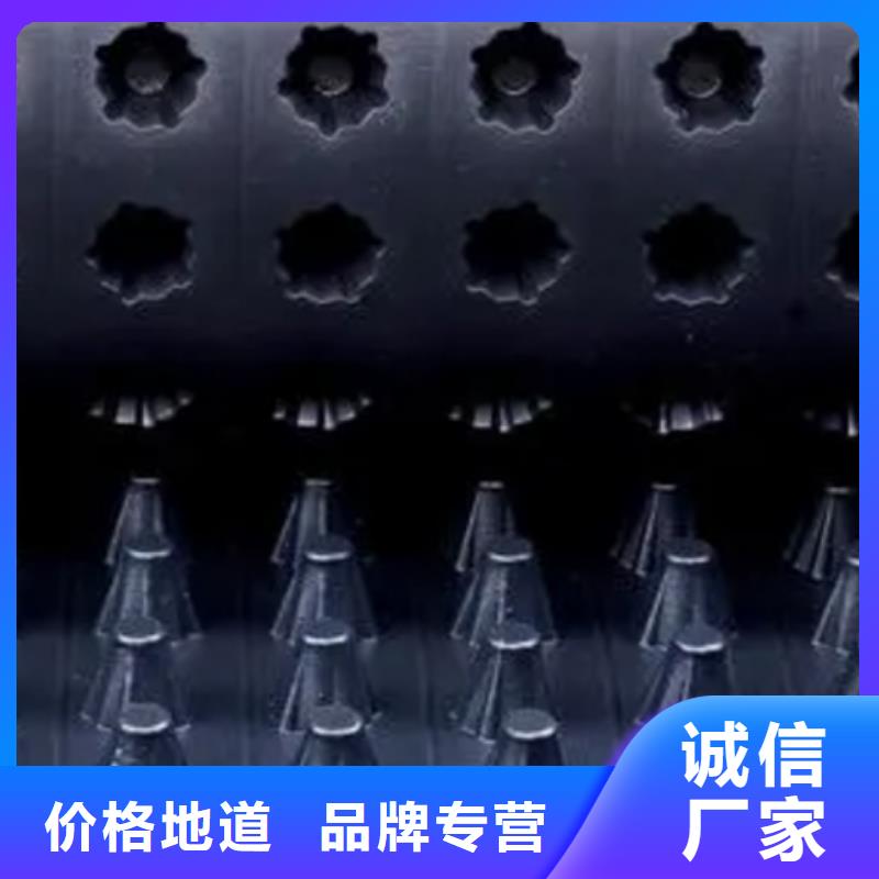 排水板厂家