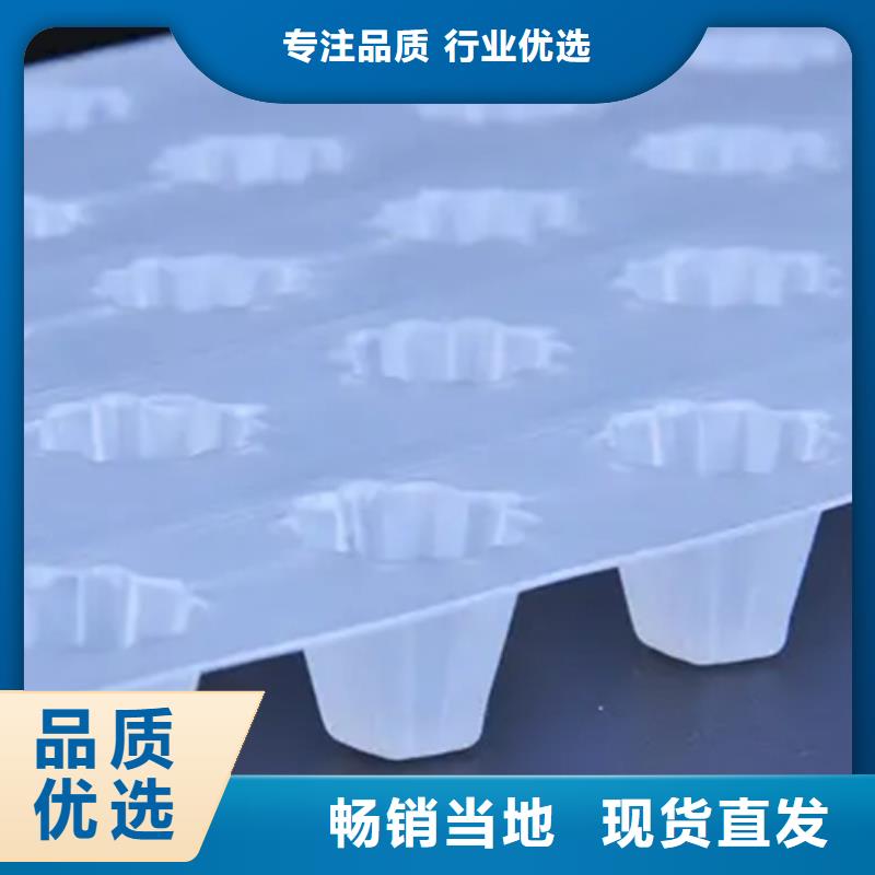 排水板厂家直供