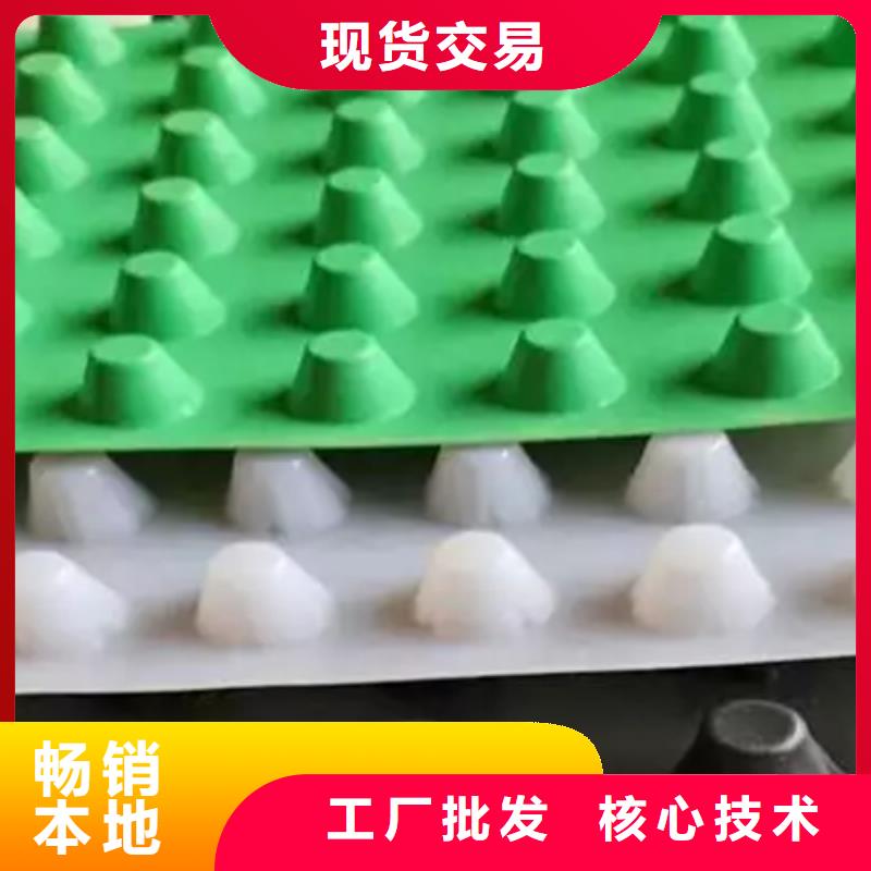 排水板厂家-欢迎咨询