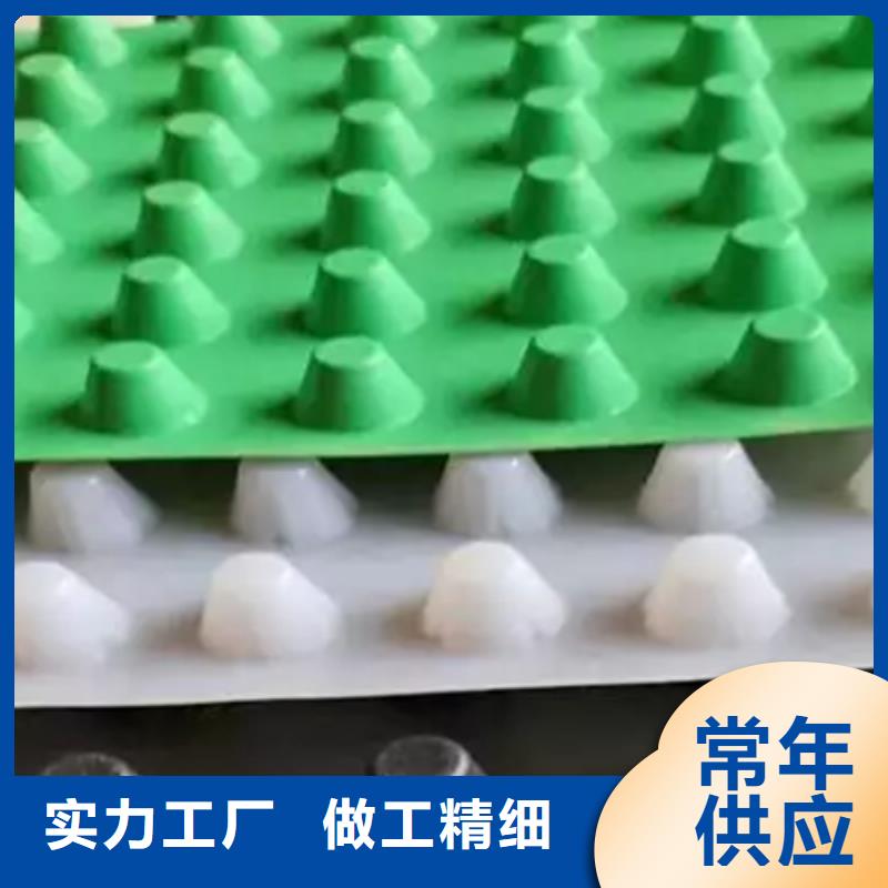 排水板植草格实地大厂