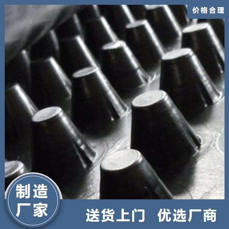 蓄排水板型号全都有