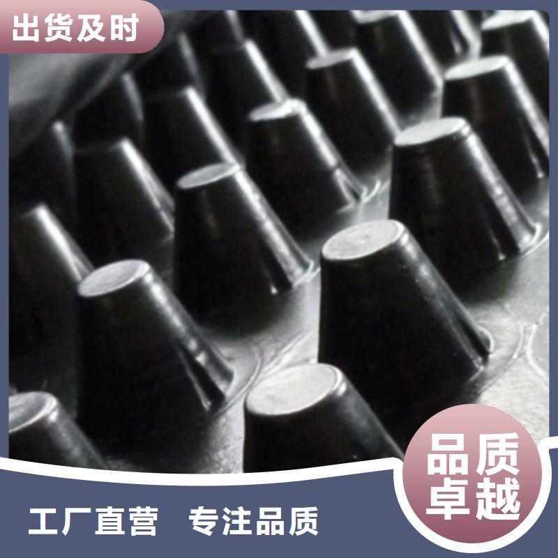 塑料排水板-朋联工程有限公司直营