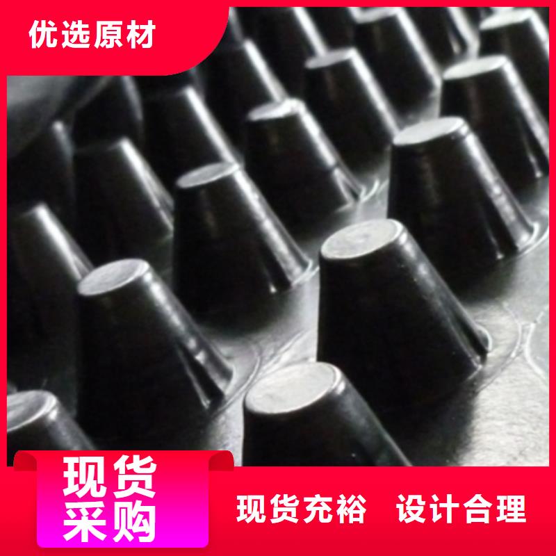 塑料排水板-朋联工程全国发售