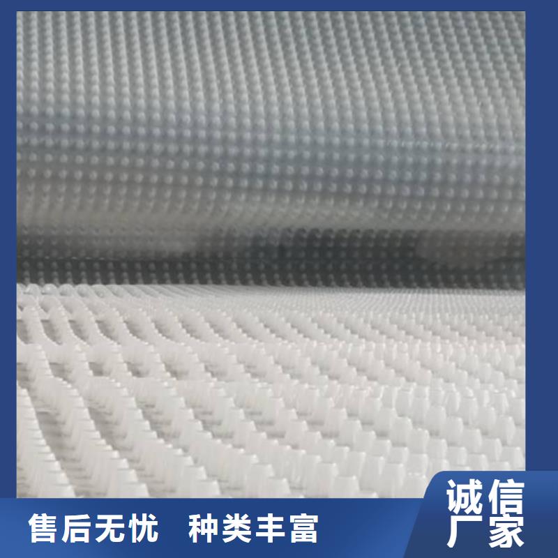 排水板水泥化粪池库存量大