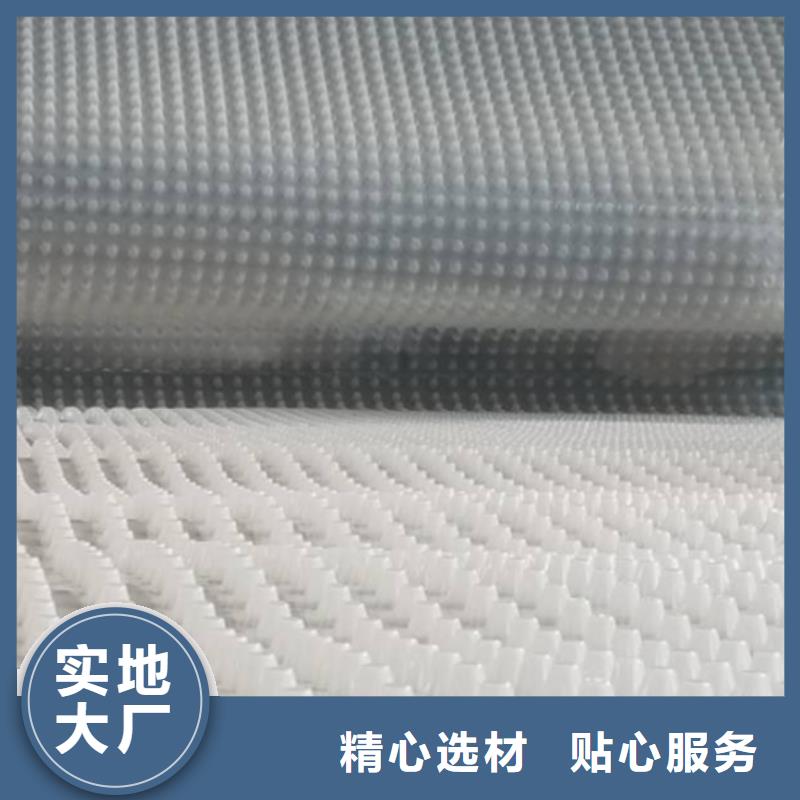 排水板工厂直营