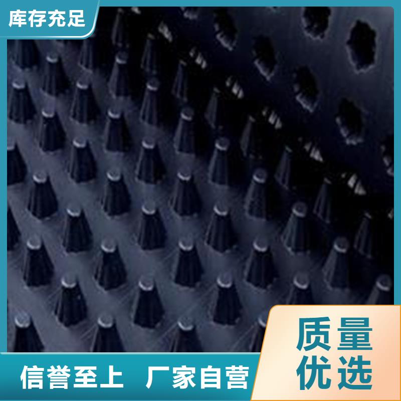 塑料排水板全国发货
