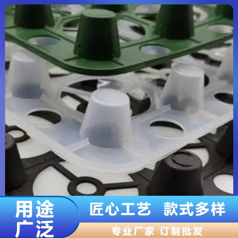 塑料排水板按需定制