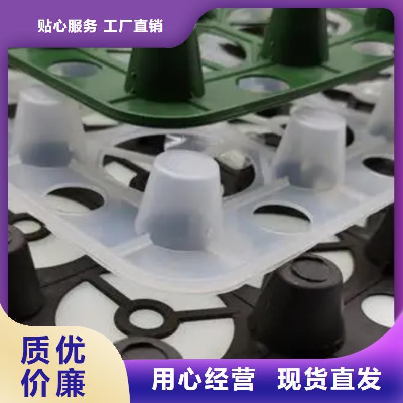 排水板厂家