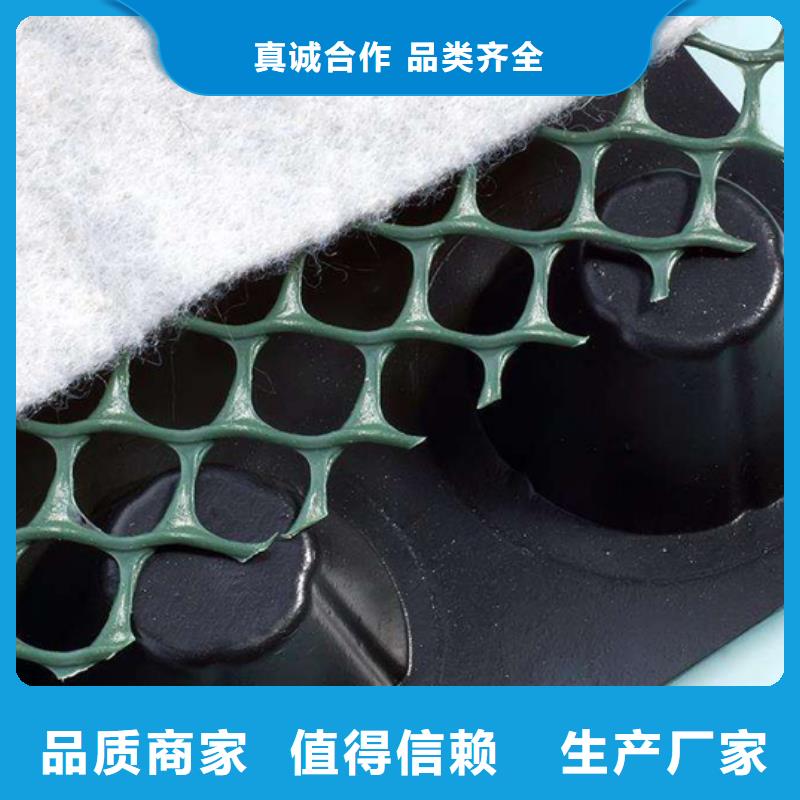 排水板-防护虹吸排水收集系统厂家