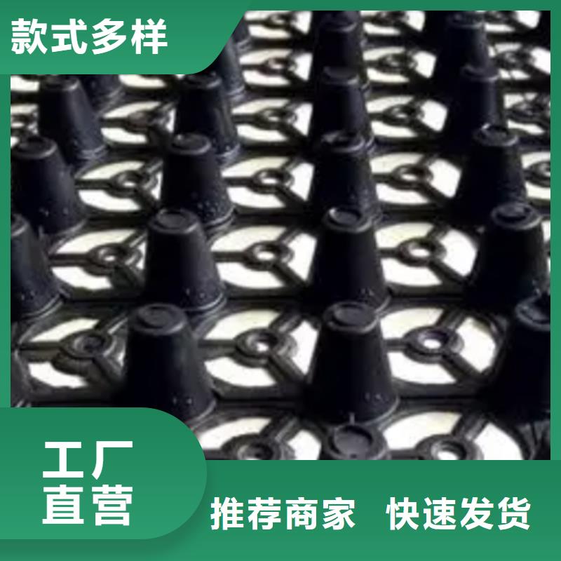 排水板订购预约咨