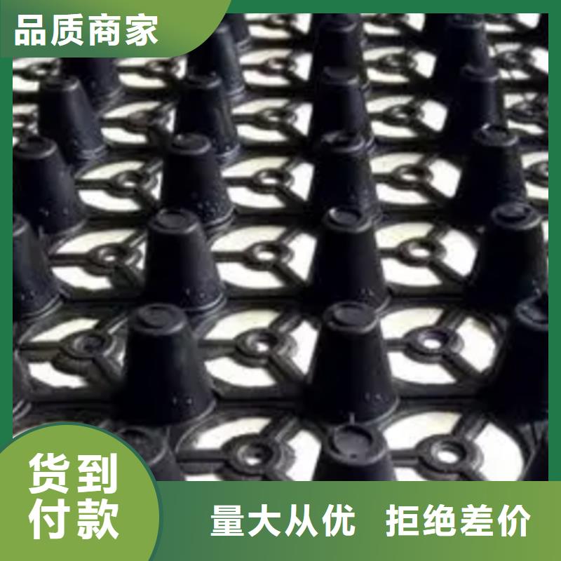 排水板植草格现货满足大量采购