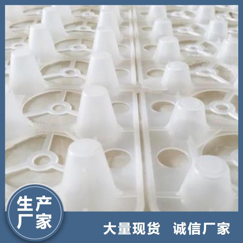 塑料排水板价格