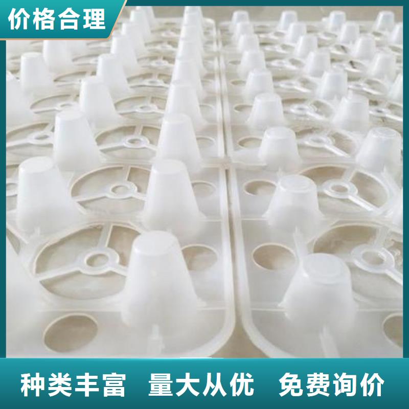 排水板厂家