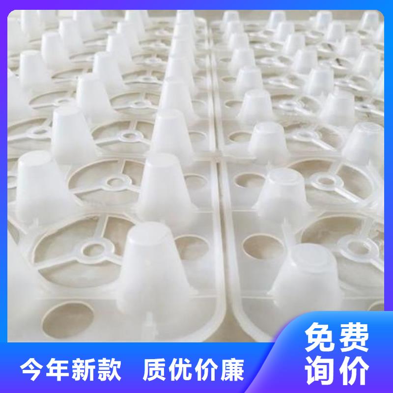 塑料排水板优惠报价
