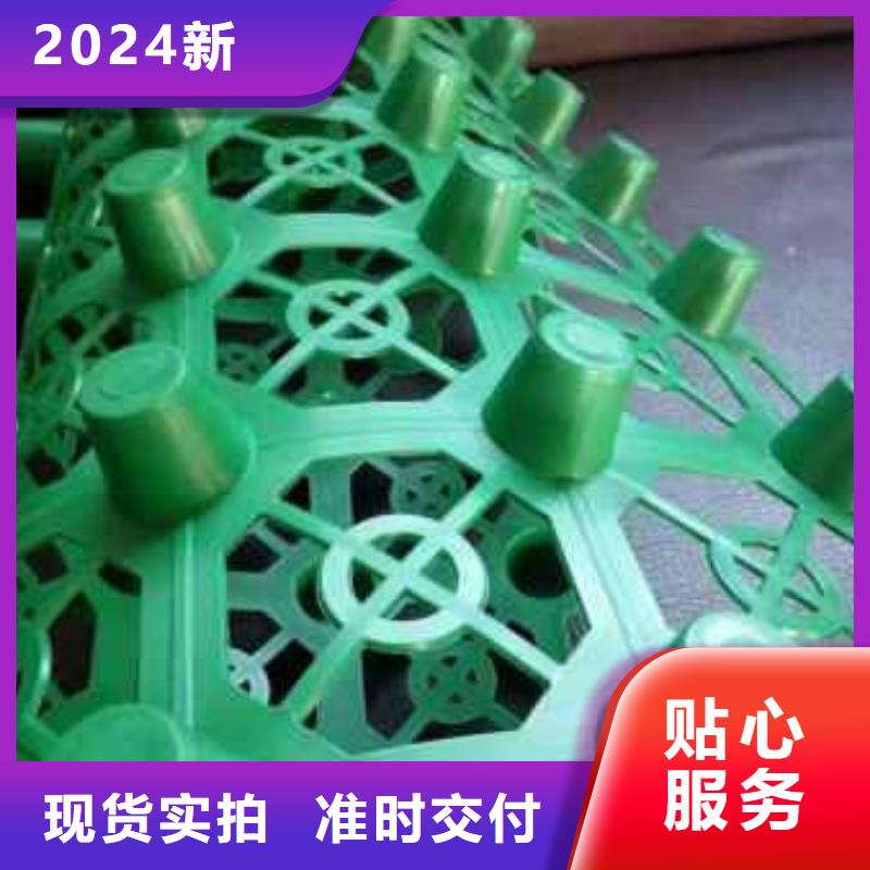 排水板工厂店