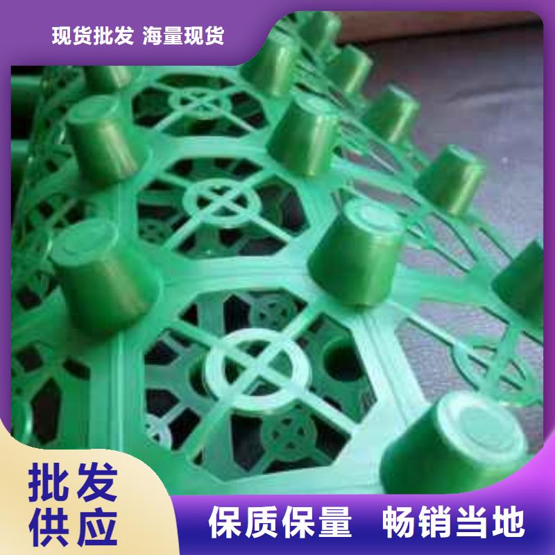 排水板厂家直供
