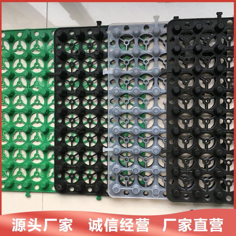 塑料排水板按需定制