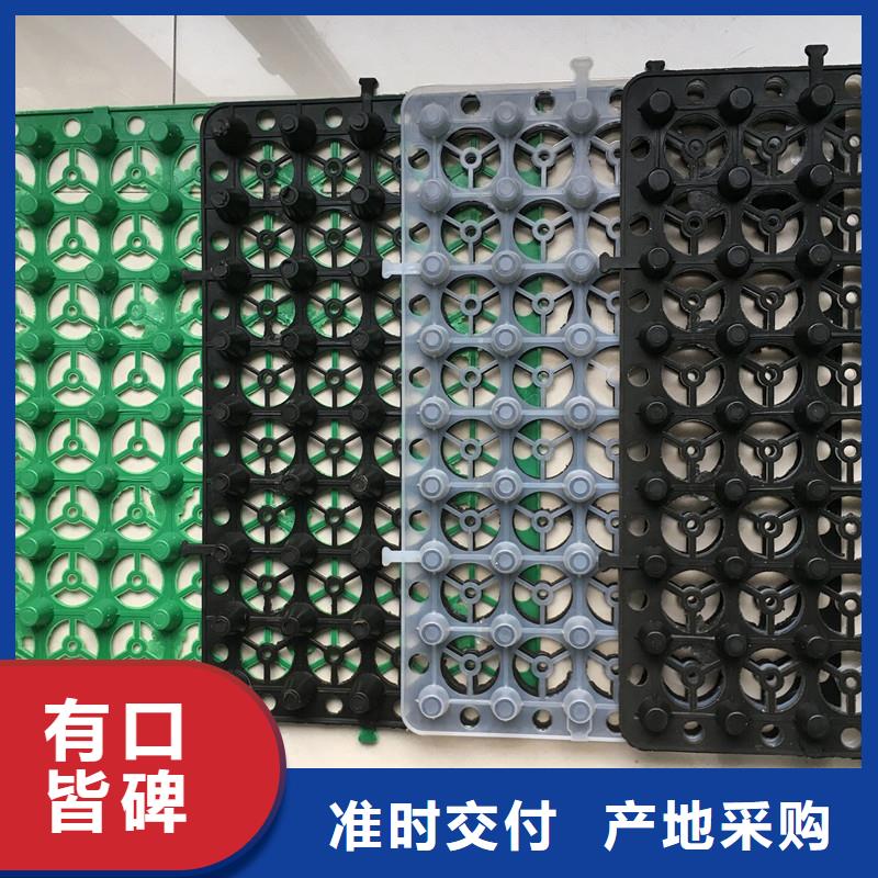 排水板产品介绍