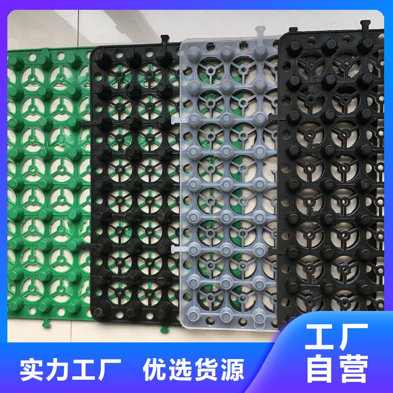 排水板规格