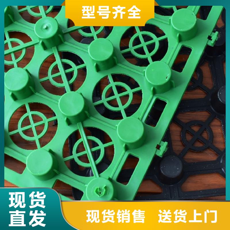 塑料排水板本地厂家