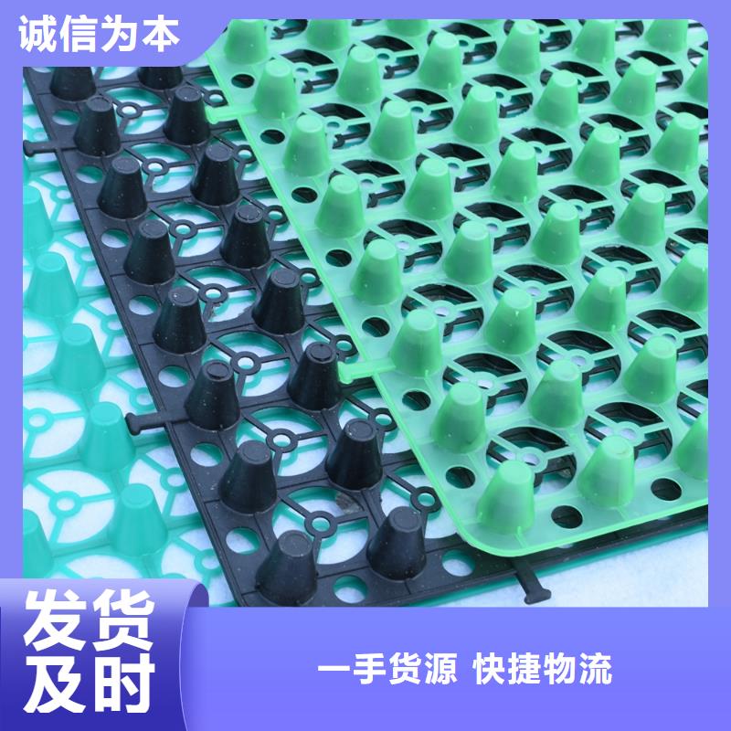 排水板化粪池水泥专注细节更放心