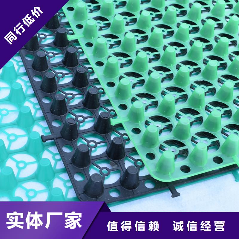 塑料排水板全国发货