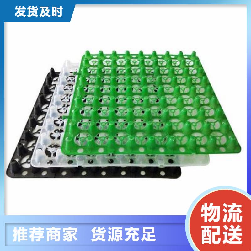 塑料排水板产地货源
