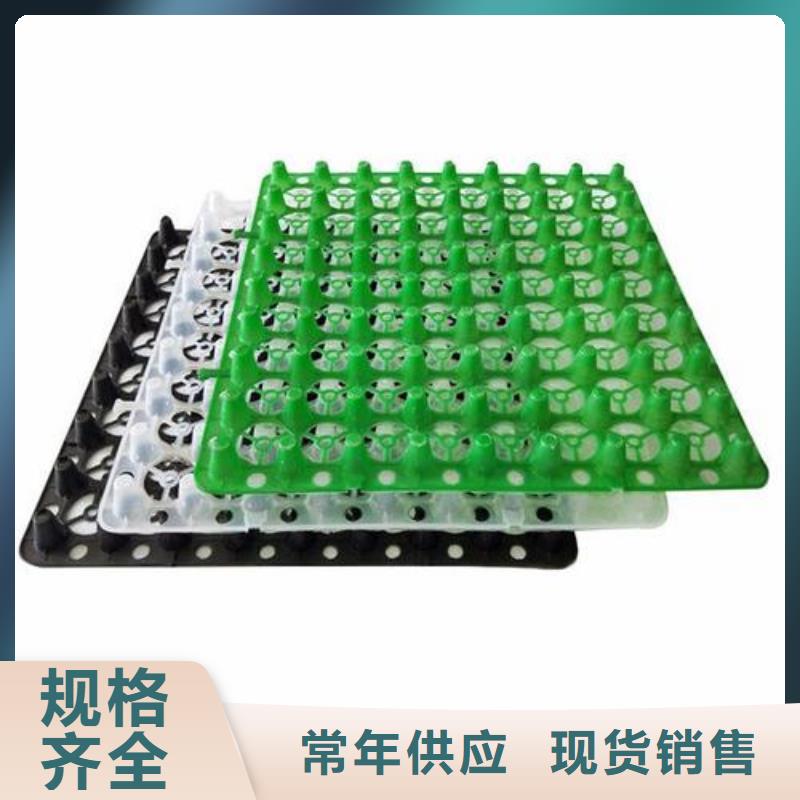排水板直供厂家