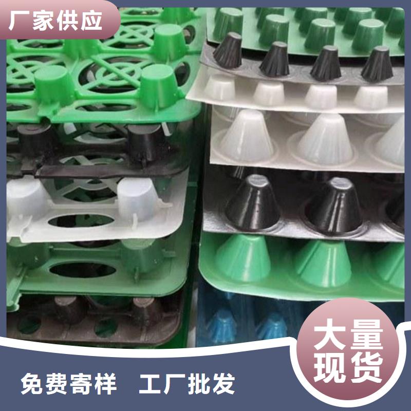 塑料排水板-朋联工程有限公司直营