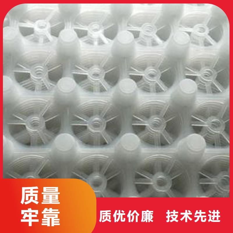 塑料排水板生产厂家/批发