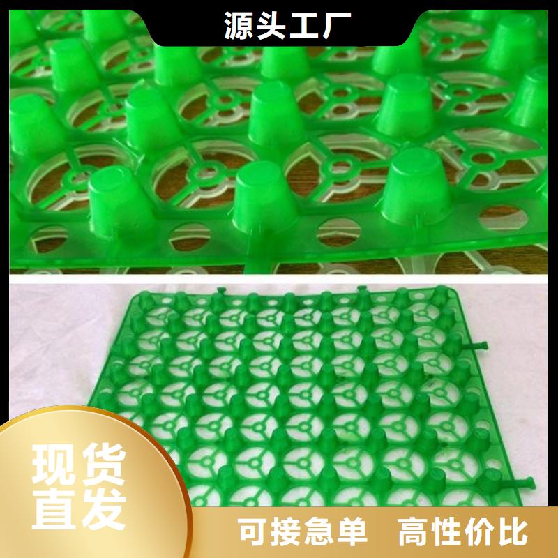 蓄排水板#山东朋联