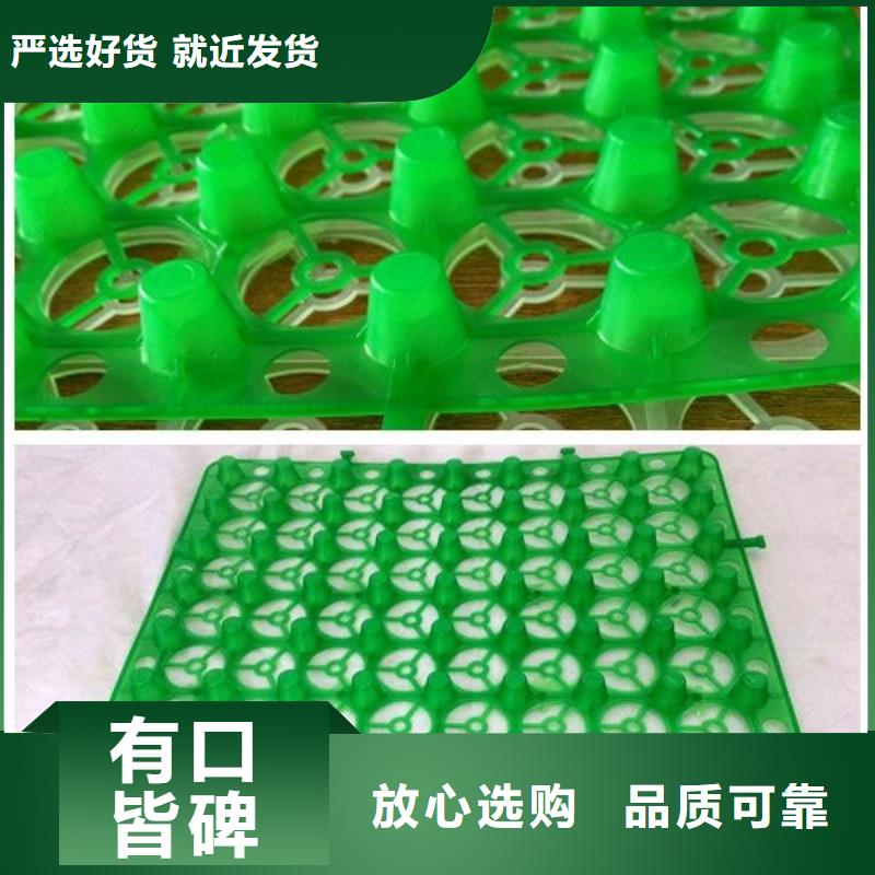 排水板订购预约咨