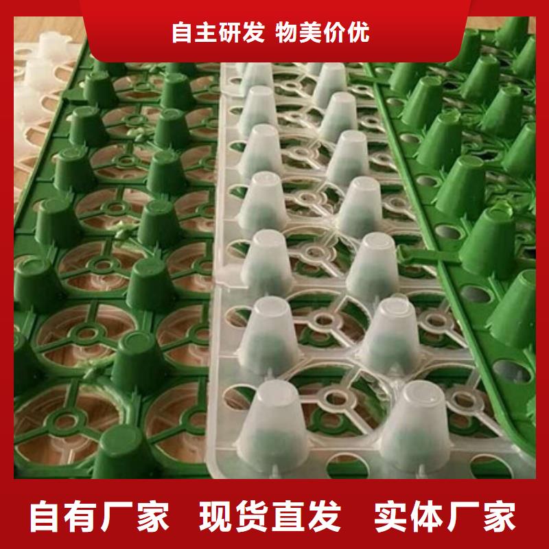 排水板-防护虹吸排水收集系统厂家